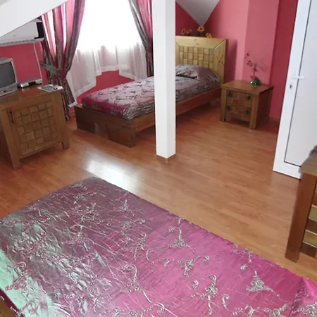 Hotel Vidin Hotel