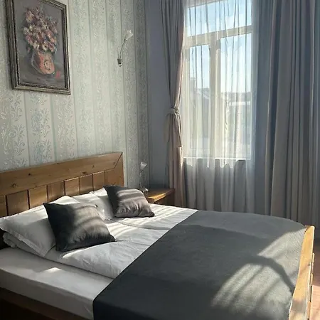 Vidin Hotel