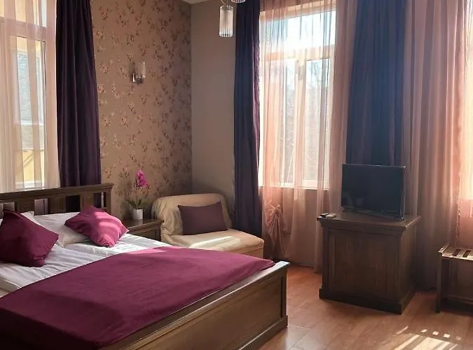 Otel Vidin Hotel Vidin